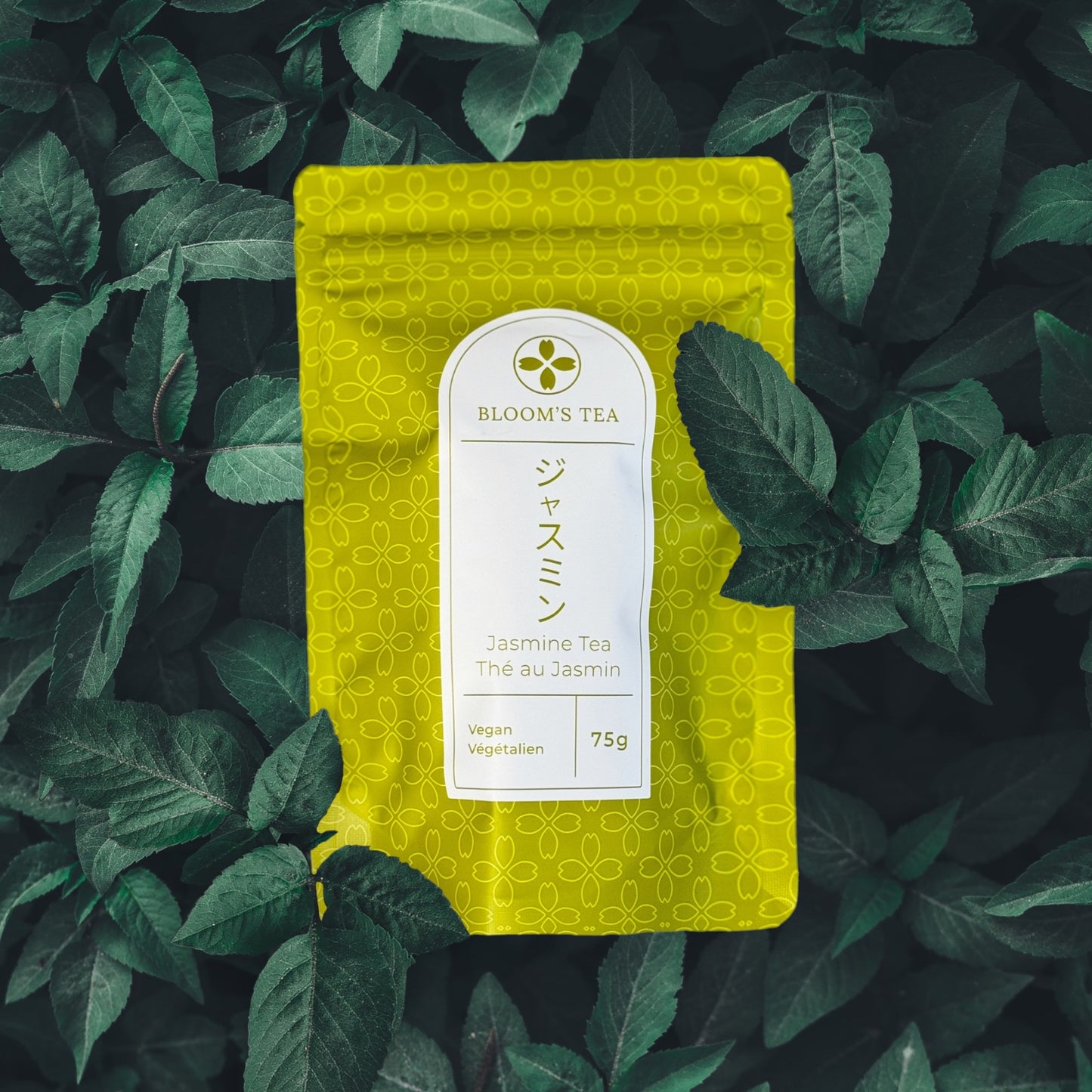 Jasmine Loose Leaf Tea